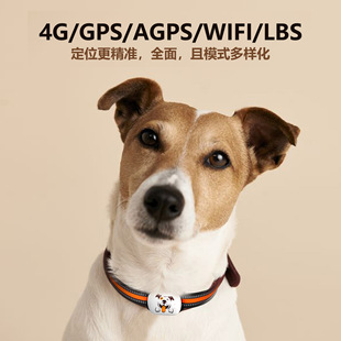 Smart 4G Bluetooth Pet Потиритель Pet крупный кот и собака и собака точный Safe Pet Safe Pet Safe Strike