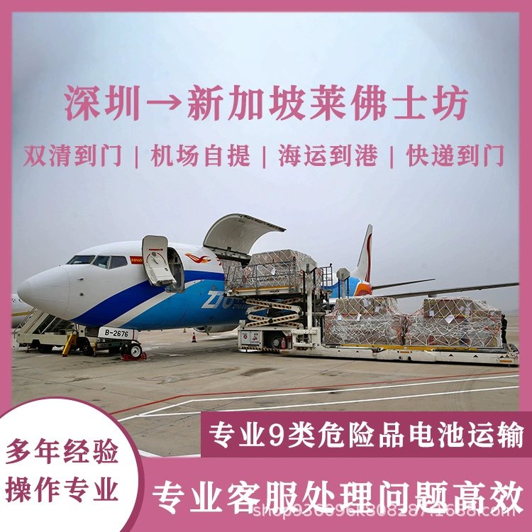 Литиевая батарея Шэньчжэнь в Сингапур Raffles Place авиаперевозки, включая налог, двойная очистка к двери CIF/DDP