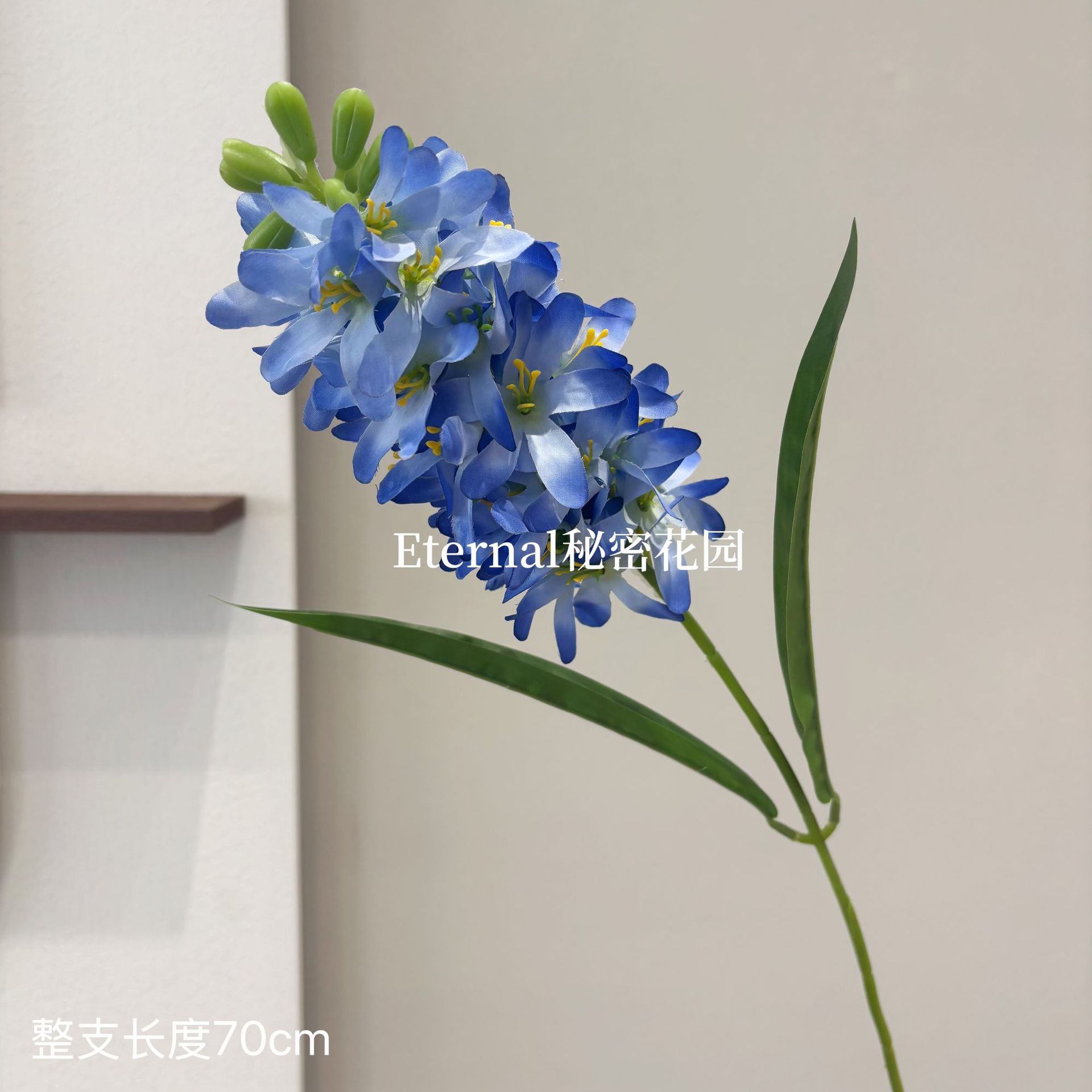 히아신스 블루