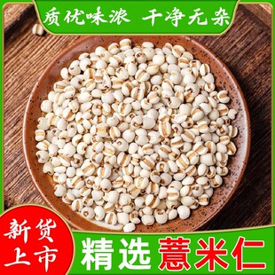 ޲����С޲������ș����؛�F��޲����ɢ�b޲�������r޲������޲��