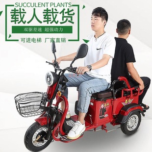 雙人電動三輪車家用新款小型接送孩子老人老年拉貨載重王電瓶三輪