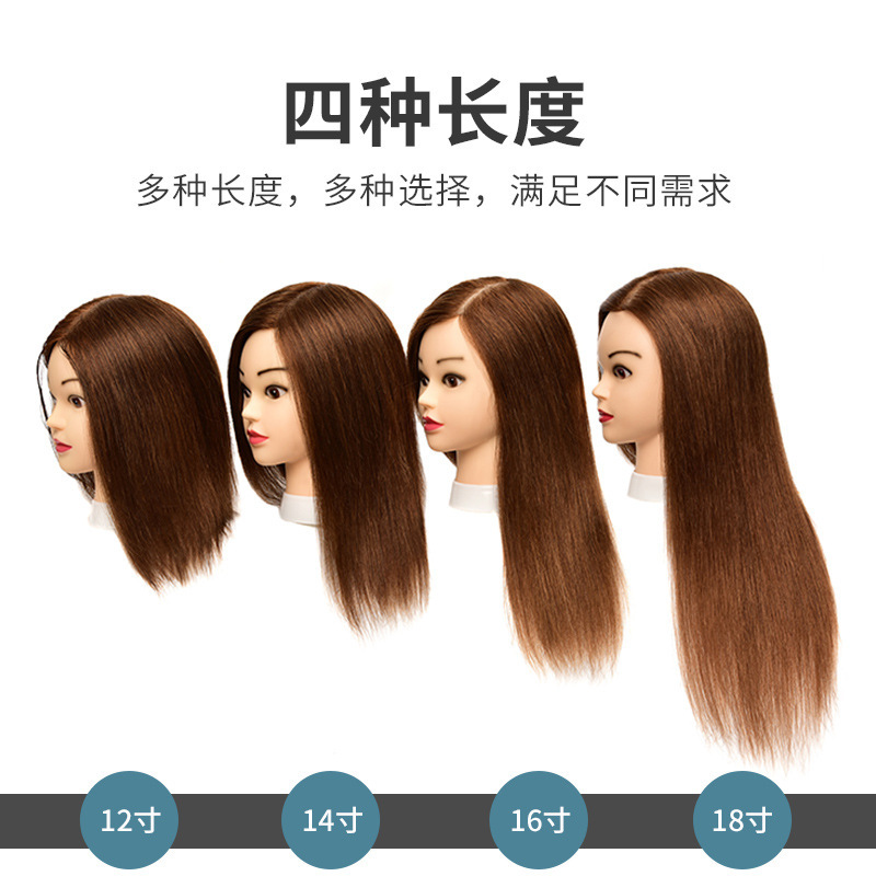 全本物の髪の髪のモデルの見習いは、髪を切ることを練習しています。|undefined