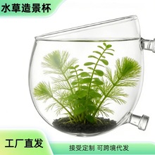 �~���쾰�� ��������ˮ������쾰�� ����貣����͸ˮ���쾰��