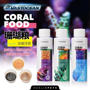 VASTOCEANҺ�w��sɺ���Z�S���r݆�x���΄�ֲ�ʯ��������Ƭ�X