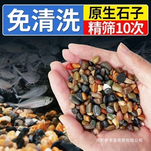 Native Stream Stone Fish Tank Bottom Sand Pure Natural Stream Sandstone Pebbles Small Stone Landscaping Decorative Bottom Sand