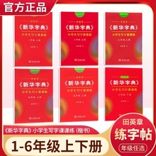 田英章小学生写字课课练一二三四五六年级下册新华字典田英章同步