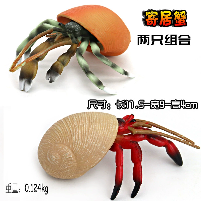 Игрушка, большие морские когнитивные украшения
