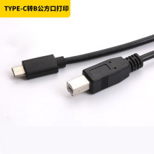 type-c�Dusb B����ӡ�C����x������type-c bm���ڔ�������ӡ�C��