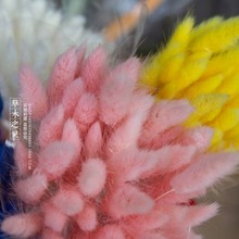 �F؛��l ��ɫ��β�� �ɻ��������յ��߼Ҿ��Ʒɭϵ��ˇ�L��@��