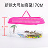 Plastic handheld small transport, aquarium, pet, wholesale