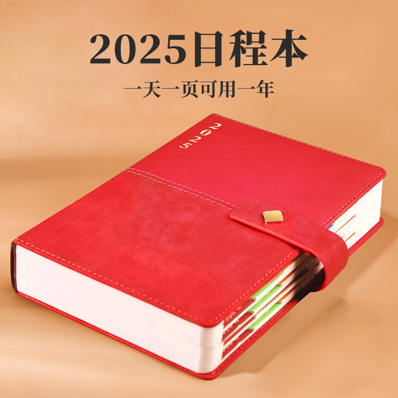 2025 일정 플래너 A5 효율성 매뉴얼 분류 컬러 두꺼운 내부 페이지 달력 노트북 사용자 정의