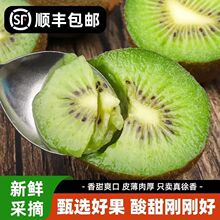 徐香猕猴桃孕妇水果新鲜应季水果大果非黄心红心猕猴桃现摘顺丰