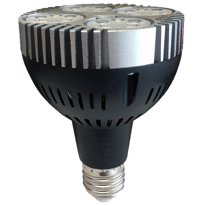 2023 nueva lámpara fresca estándar nacional de carne de cerdo tienda de verduras deli Par30 tienda de verduras marinadas led focolight bombilla e27 conector