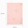Small A5/1 book