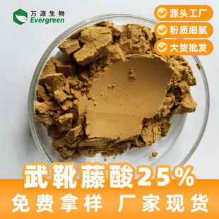 ��ѥ����ȡ����ѥ����25%45%�S�ҬF؛��Ҏ��