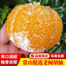 常山胡柚斤产地直发新鲜水果老树柚子黄心西柚葡萄柚