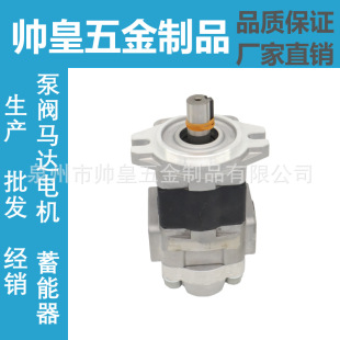 �ձ��u���ͱ�SDY1-275L896Һ����K1P10L11A-HT�X݆��GPYZ5.8R323B