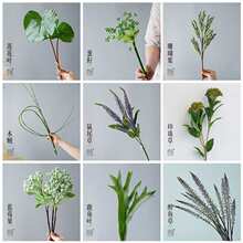 �����ò廨�زĺϼ�������ˇ�����仨�Ĳ����r���¾��b�Ʒ