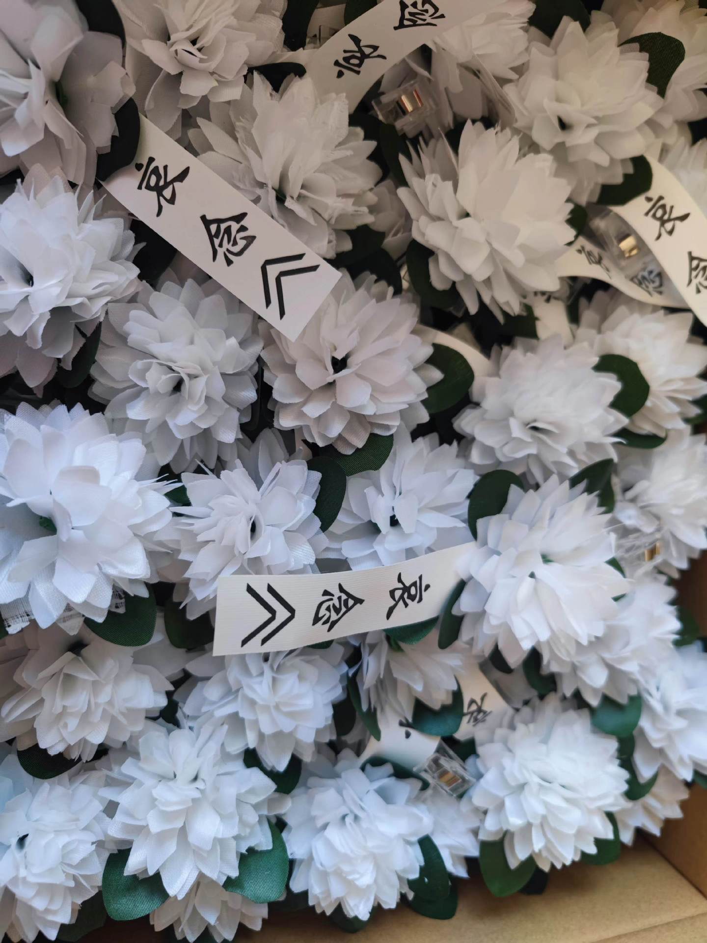 微信图片_20230620100255