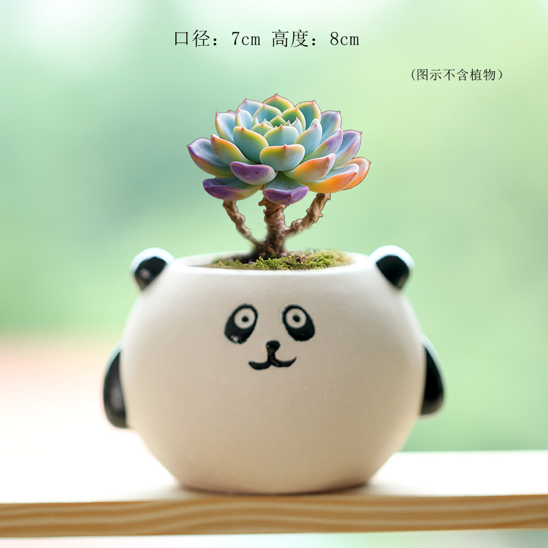 白羊可爱卡通小动物彩绘异形透气多肉花盆个性超萌摆件工艺品批发|undefined