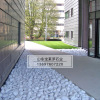 Cobblestone white pebble Chinese white jade big cobblestone landscape paving big cobblestone pebble