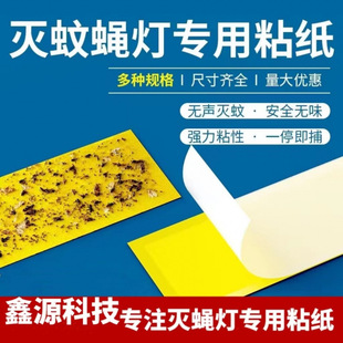 ���ß��nωճ�����xճ��ճ�����N��ճճ�ü�