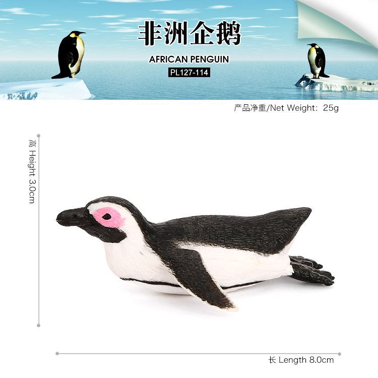 PL127-114非洲企鹅