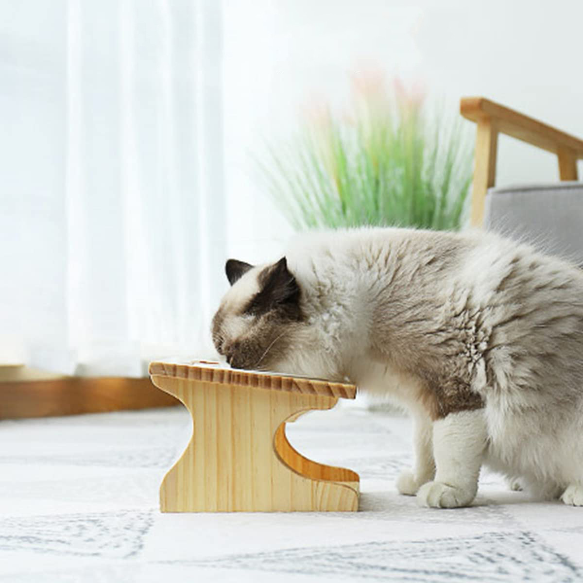 61PTPw4LXAS._AC_SL1200_