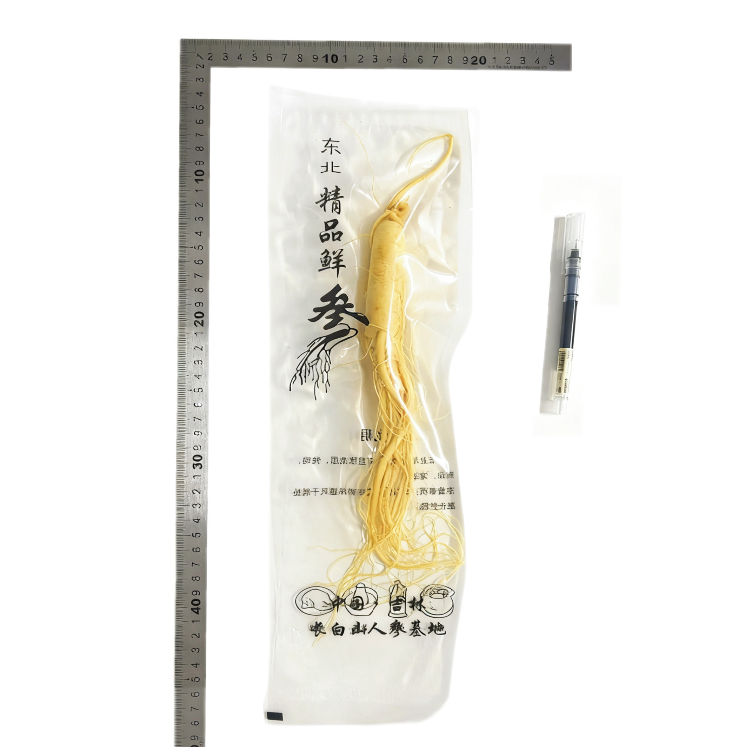 【鮮人参】長白山人参卸売メーカー直販 東北特産新鮮人参 酒漬け人参 生人参