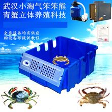 三槽独立排水新款青蟹养殖箱小龙虾梭子蟹螃蟹室内立体养殖设备
