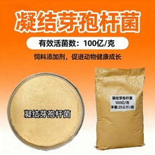 ���Yѿ�ߗU��������������������i�Bֳ������100�|