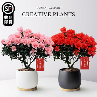 ���N�����Ԏ����������ļ��̨�_��ֲ���ͺ��̓��������^���B�Ļ�