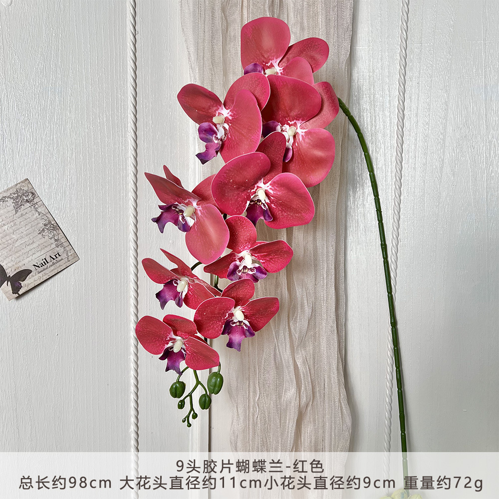 Fy-9 head film orchid - red