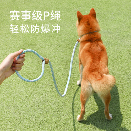 Cross-border dog leash, universal safety buckle for medium and large dogs, dog chain collar, dog walking P chain, pet supplies wholesale