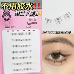 不用塗膠水的下睫毛！新品透明梗小野貓自然上鏡大容量仿真分段式