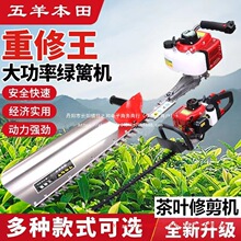 �M�����������;G�h�C������C�����򻨙C�M�h�@�־G��ԭ�b