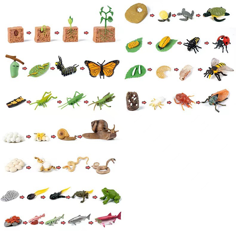 동물과 식물의 대량 단일 판매 증가 (스타일 메시지를 남길 필요가 있음)