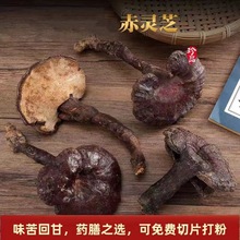 批发灵芝赤灵芝干货灵芝批发整枝竹灵芝散装灵芝紫芝黑灵芝云南产