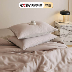 60日糸ライゼル4点セットベッド用品夏氷糸裸寝シーツ布団カバーベッド笠寮3点セット