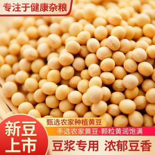 �¶��|���S�����w���S�����lɢ�b����b�|���󶹴򶹝{�l��ѿ�S��