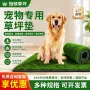 跨境水洗家用厕所草皮