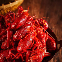 2025ҺirrكըˮСrƷ345/456Xr