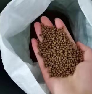 微信圖片_20210126111304