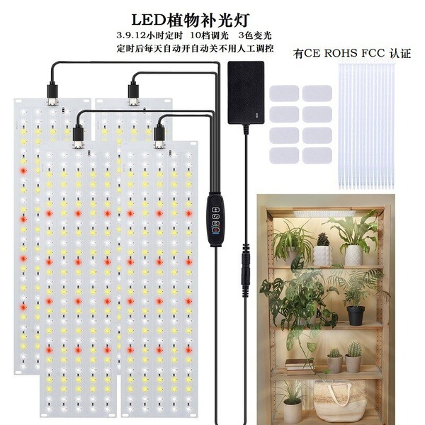 LED quantum lamp