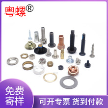 ���S���ݾo�̼� �Ɂ�D��ӻ�����˨ ���P��ݽz �S�~��ĸ����