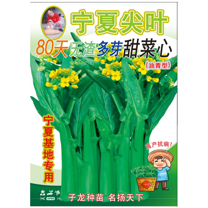 Feng Zilong Seedling Company Direct Sales Wholesale Base Vegetable Seeds Ningxia Jianye 80 Days Residue-Free Multi-Bud Beet Heart