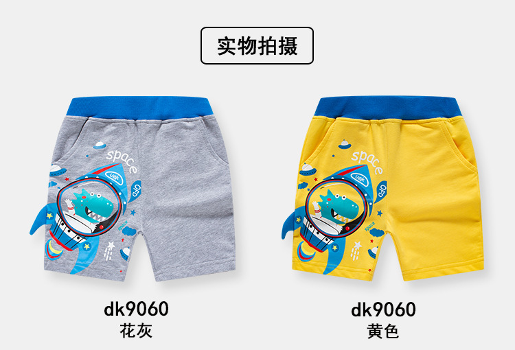 dk9060_07.jpg