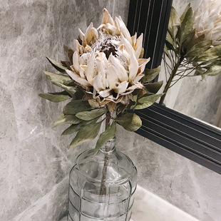 Imperial Dried Flower Princess South Africa Overlord Flower High-end Dried Flower Material Home Shop Decoration Flower-arranging Window Furnishings