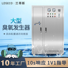 兰蒂斯水处理臭氧机 大型饮用水除臭脱色氧气源200g臭氧发生器