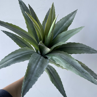 ���������m�J�C�P���~�ָоGֲ���Ե��澰�^�b�ɳĮֲ��~